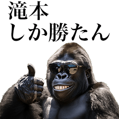 [Takimoto] Funny Gorilla stamp to sends