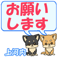 Kamikawachi's letters Chihuahua2