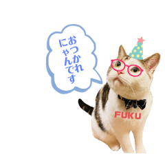 nao_20250101230837