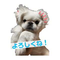 kanae_20250102015718