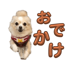 Mimi_20250102110954