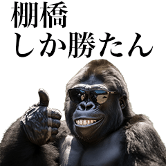 [Tanahashi] Funny Gorilla stamp to send