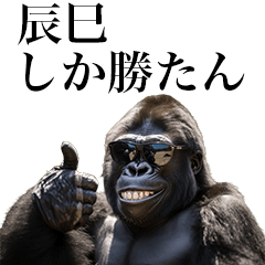 [Tatsumi] Funny Gorilla stamp to sends