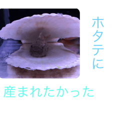 Banana_20250102131546