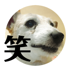 nono_20250102140222