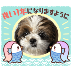 hayato_20250102100820