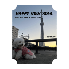 SY_20250101160208