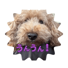 YOSHI_20250102141752
