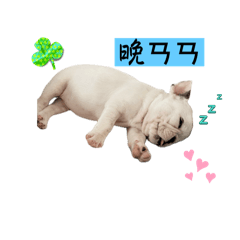 呆萌小法鬥