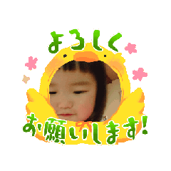 N_20250102193537