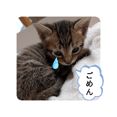 momo_20250102144858