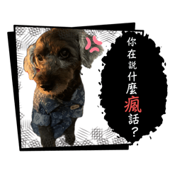 三隻小朋友