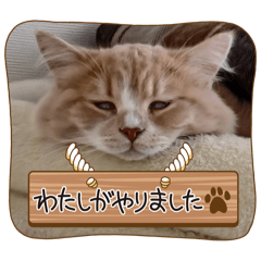kasumi_20250102151706