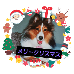 chiyo_20250102161536