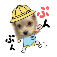 kinako_20250102183003