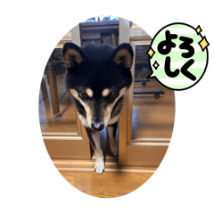 icchan_20250102165127