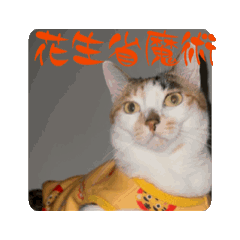 歐娃半半芝芝