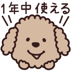 Fluffy Toy Poodle All-Year Stickers