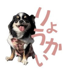 YUKI_20250102204625