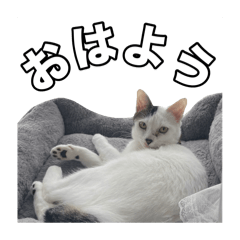 rioshi_20250102231609