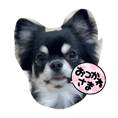 miko_20250103075435