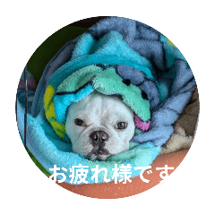 Don_20250103083141