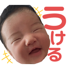 moco_20250102172452