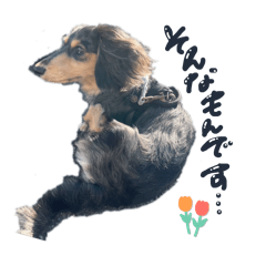 unicorn_20250102222200