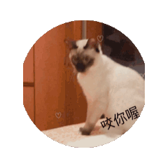 N的作業