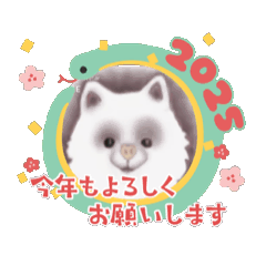 OMEDETOU OMEDETOU