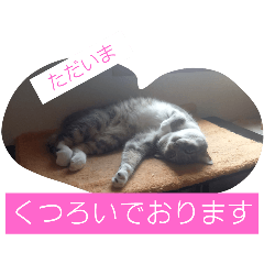 NAO_20250102201124