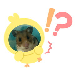 SAIkoyh