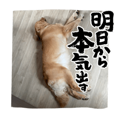 tono_20250102214656