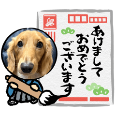 mai_20250102205113