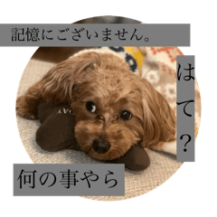 Asuka_20250102205606