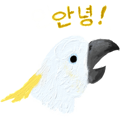 Pretty Chirping Birds Korean ver.