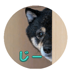 KUROSHIBA PONCHAN