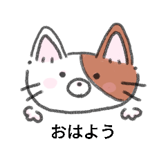 momo_20250103140601
