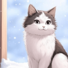 comic snowshoe cat