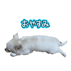 Mo_20250103114713