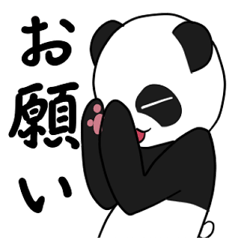 Panda cute Poses