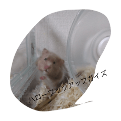 teru_20250103190920