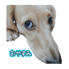 miki_20250103214006