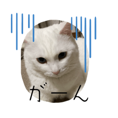 ai_20250103145407