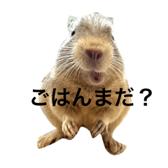 n_20250103150206