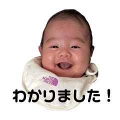 pipi_20250104074941