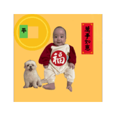 大福淏2501-1