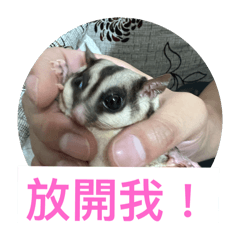 樤禀搗蛋2