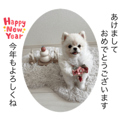 mochi_20250103181508