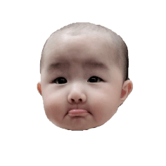 shin_20250103